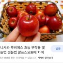 해피79하우스