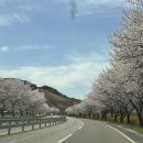 금강산파크 | 합천 영상테마파크 아이랑 다녀온 솔직 후기, 입장료 운영시간 호도리전기차