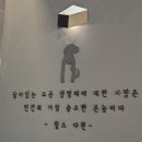 티어하임 동물병원 이미지