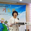 스마일여행사 이미지