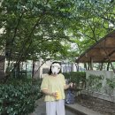 [빅사이즈] 77 88 입은옷 ootd 내돈내산 후기