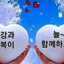긍정의뉴스