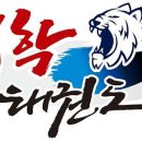 대학태권도체육관 네이버블로그