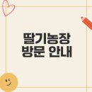 기쁨이네농장 | 슈퍼맨이돌아왔다 딸기농장 예약 방법은