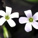 우리주차장 이미지