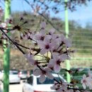 성운대학교 이미지