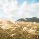 오름민박 이미지