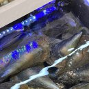 조개정육점 신중동점 | 신중동역 회식장소 추천 모두가 만족했던 조개정육점 부천신중동점!