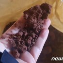 화산송이