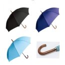 모닝글로리 이미지