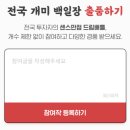 개미플러스