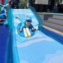 세시풍속-유두절 워터파크🌊🏄‍♂️ 이미지
