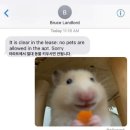 간식열차 이미지