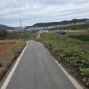 미리가보는 남파랑길86코스 일부(대야2구 마을회관~장보고기념관~죽청 농공단지~완도해조류센터)2 이미지