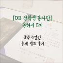[대외활동]동하리 - 3박 4일 동계캠프 후기