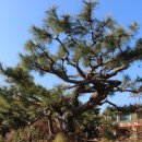 강화버스터미널 이미지