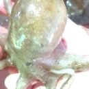조은수산 이미지