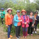 청마농장 이미지