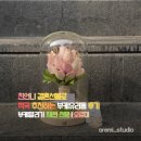 홍대언니 - 원주시 단관길 67-3 | 홍대 공덕부케말리기| 친언니 결혼 선물로 적극 추천 후기