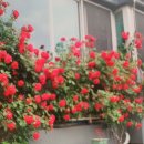 신동현강변타운 이미지