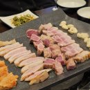 신선고기아울렛 이미지