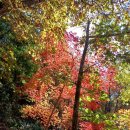 약수봉마을 이미지