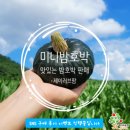 제이러브 네이버블로그