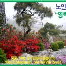 락원 이미지