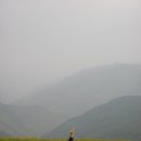 데비스파라