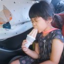 노오란펜션 | 4대가 함께한 여름여행 - 한국의 나폴리 삼척 [장호항]