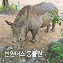 롯데리아 옆 | 베트남 나트랑 가족여행 추천 빈펄 투숙객 입장권 할인 팁 빈원더스 동물원 롯데리아 식당 스타벅스 후기