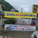 보리울마을 | 홍천 재래식 손두부, 홍천 보리울 마을 맛집