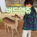 버드모아 | 청주 아이랑 가볼만한 실내동물원 버드앤쥬 정브르도 힐링하고간곳 리얼후기