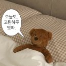 야음로12번길R | 일산 로테이션 소개팅 내돈내산 후기! 모먼트 고양점에서 매칭까지 된 썰