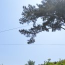 노을지는농장 이미지