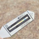 702 | 강아지 건강검진 집에서 1분만에? 소변검사 키트 사용후기 Cym702pet