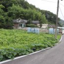 나산리 마을회관 이미지