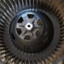 우성댓잎 이미지