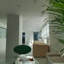 바른자세 운동센터 이미지