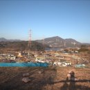 태인동 장내마을 이미지