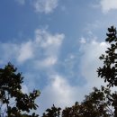 정평행정사사무소 이미지