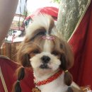 사나래캠핑장 이미지