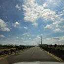 대정동물병원 이미지