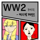 메디방)WW-2 일부 모작 이미지