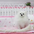 아콩하우스 이미지