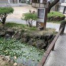 세미원작은도서관 이미지