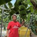 주식회사 스마일팜 이미지