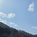 산림조합(4종)
