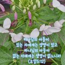 영원히 마르지 않는 샘물 -요4:14 이미지