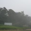 속초시청 이미지